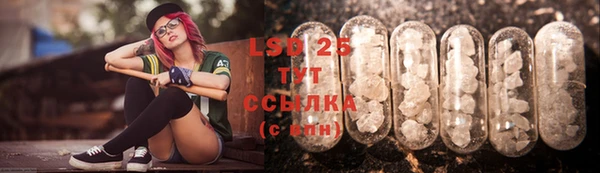 ешки Алексин