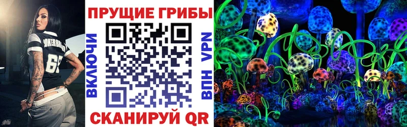Купить Иланский Псилоцибиновые грибы мухоморы